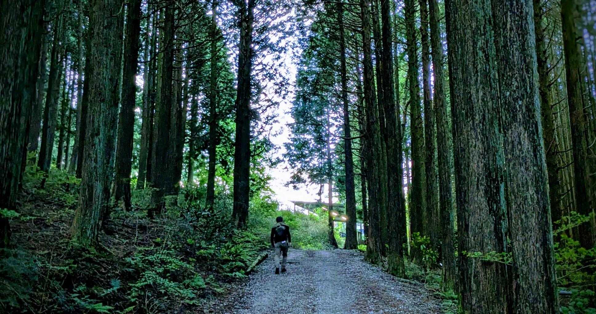 大和葛城山 往復コースの写真