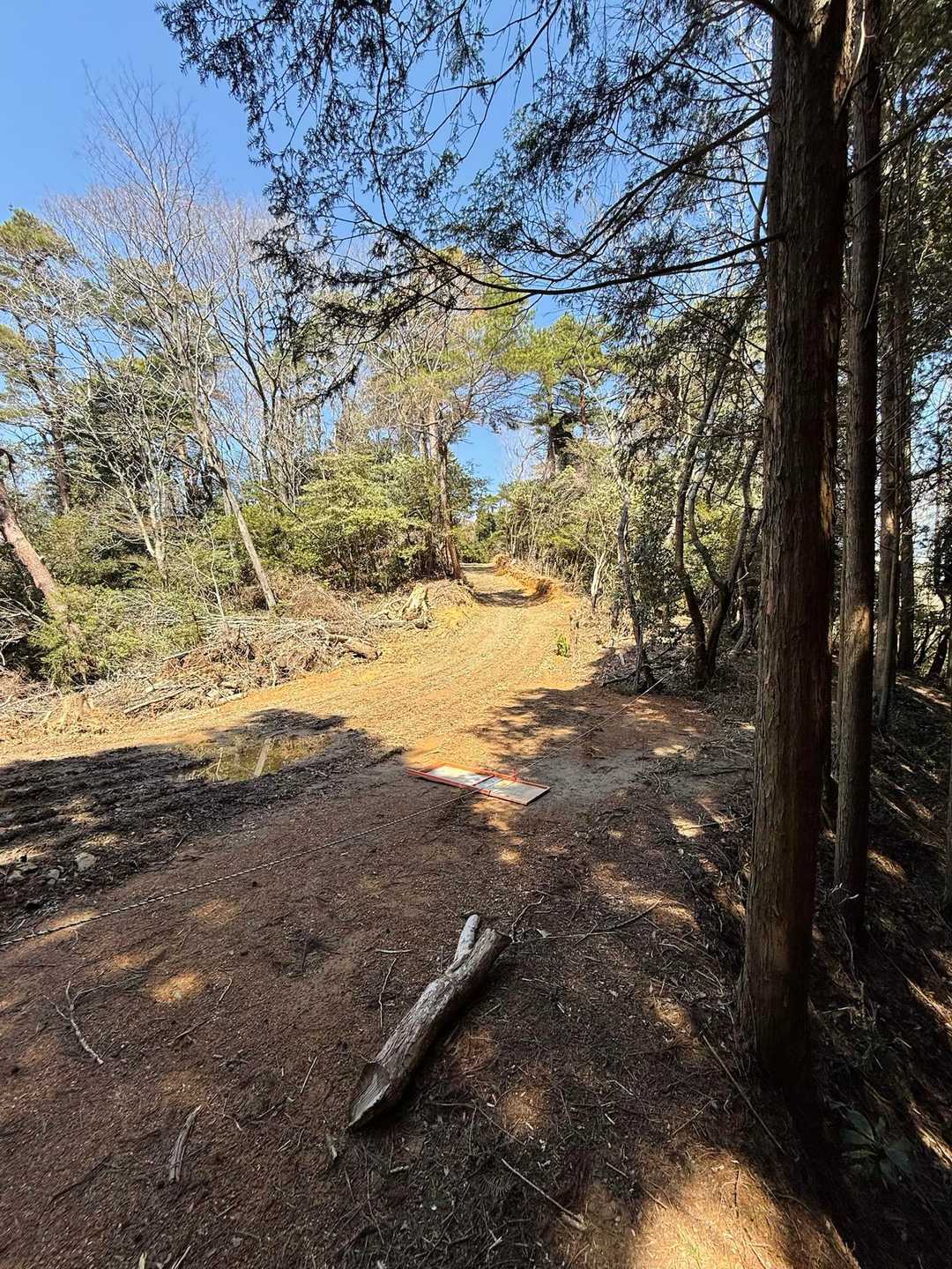 作業林道と合流します。登山道の脇に林道が設置されている。林道の右手に、登山道。