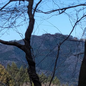 何もないのですぐに下山開始
あそこに見えるのは若須岳頂上だわ
