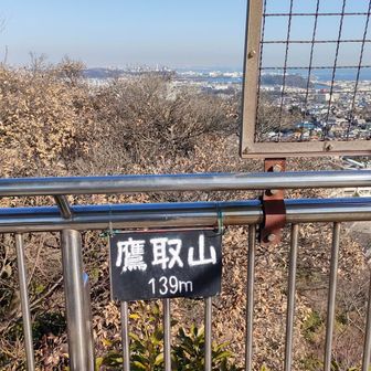 けっこう登った気が139ｍ。