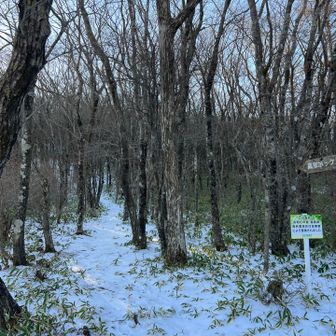 久しぶりの雪道にワクワク⛄️