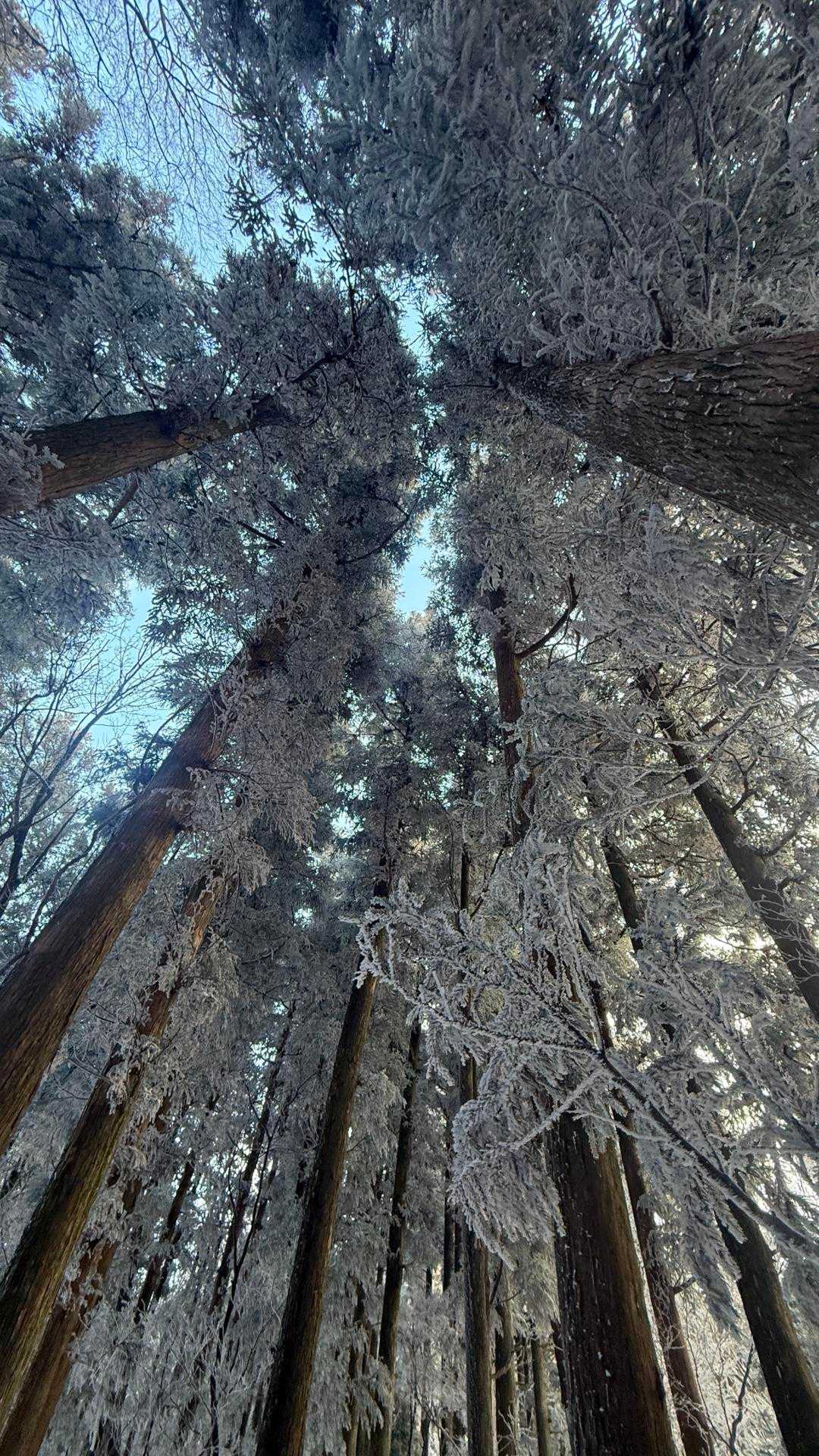 白馬山 周回コースの写真