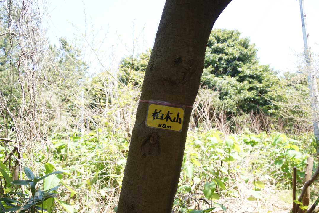ここが山頂標識かと思ったら・・・
