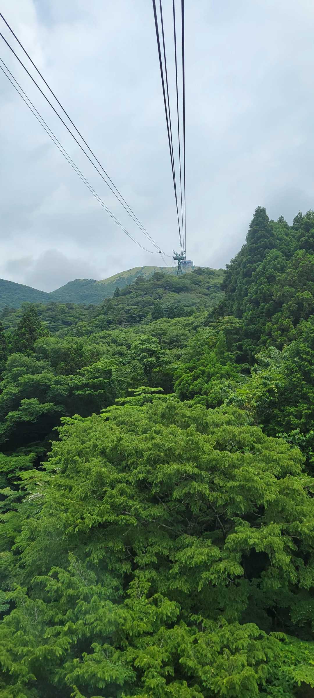 YAMAPから
コースを外れています‼
のお知らせ半端ねぇ～🤣