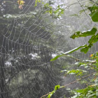 蜘蛛の巣が
他の山より多い気がする🕸️