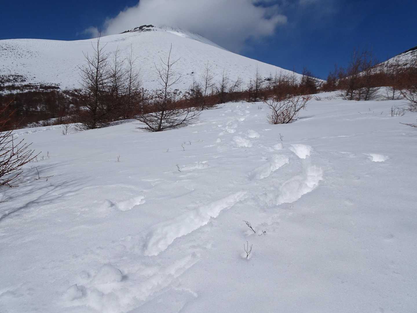 雪山歩き楽しい