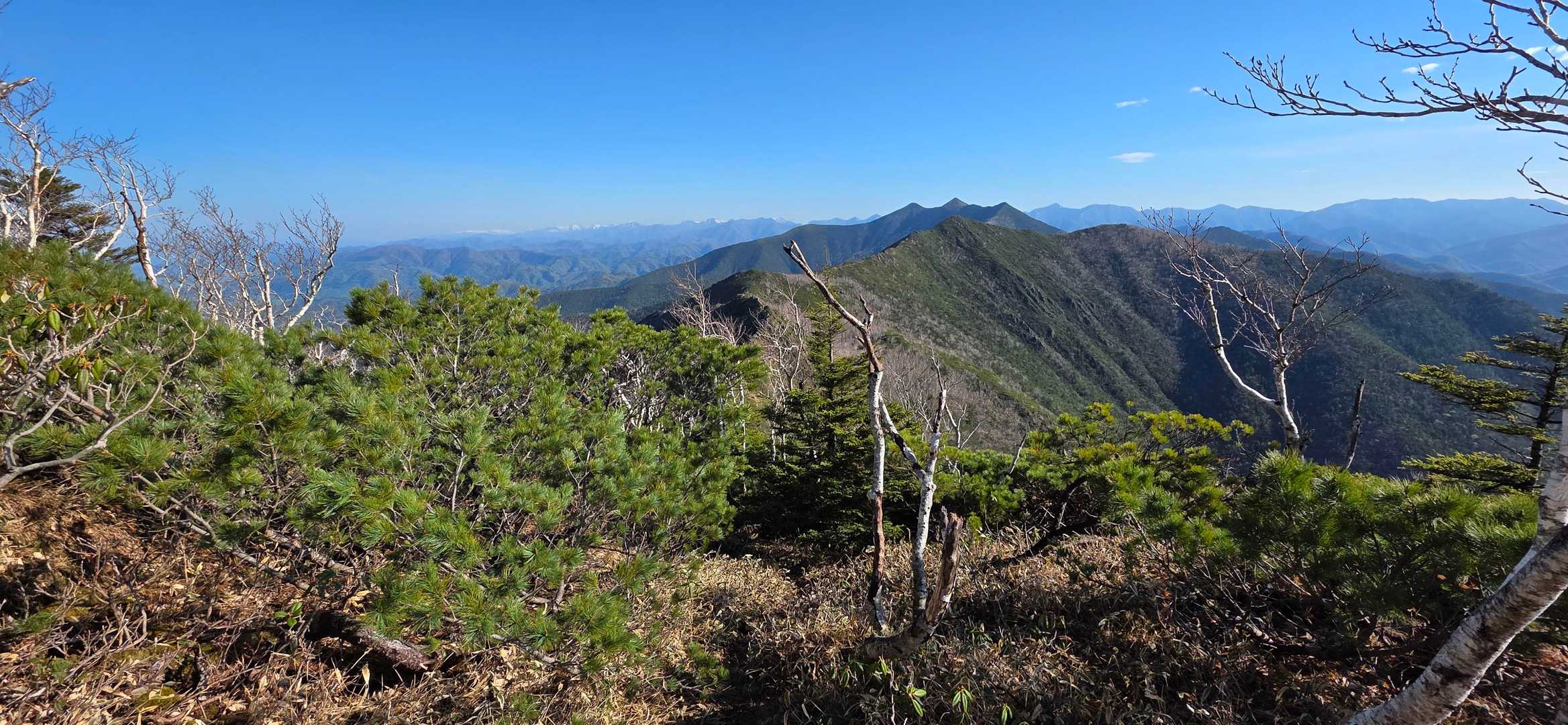 吉田岳・ピンネシリ、そして南日高の山々も
