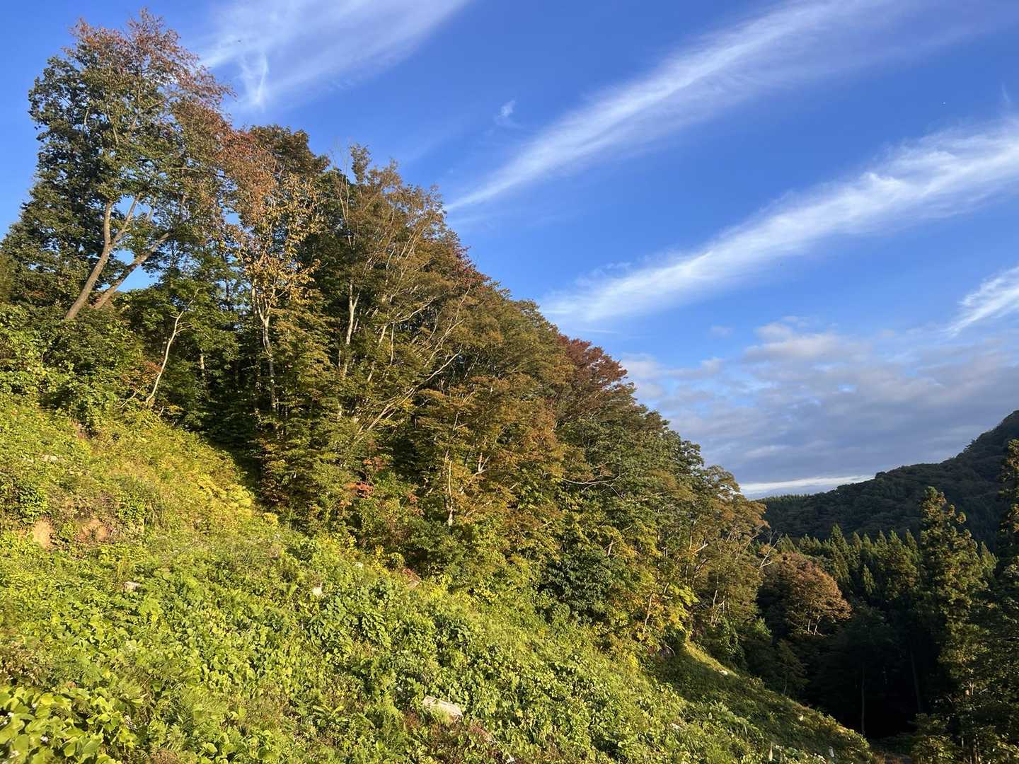 保呂羽山 周回コースの写真