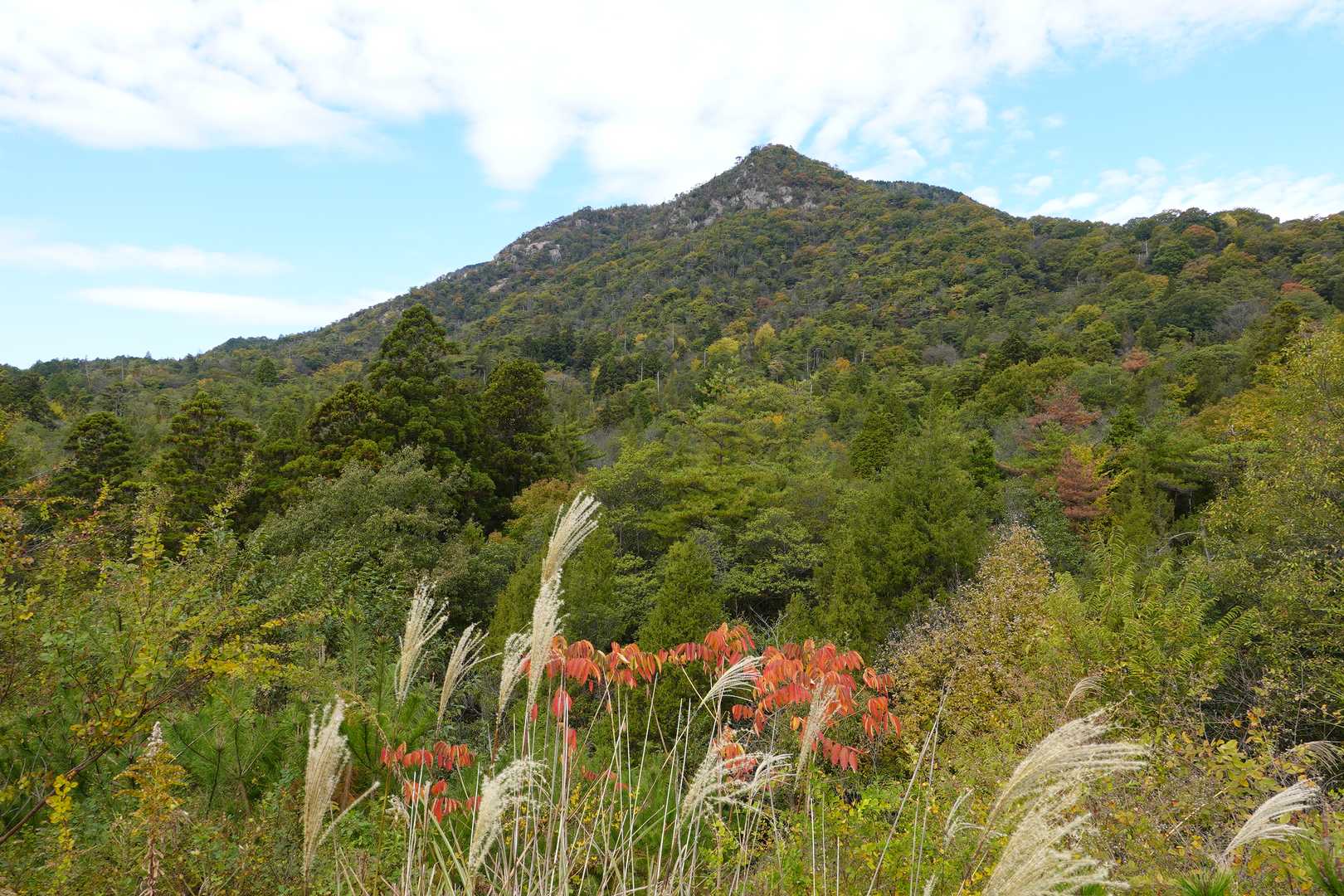 500mほど側道を下って、南登山口まで🚶🏻🚶🏻‍♀️
側道から小田山全景かと撮影📸するも、見えてるのは手前の549Pでした〜
→→【訂正】見えてるのは549Pの手前のピークでした🙏