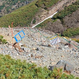 三ノ池側もきっちり八合目へのルートは通行止め看板あり