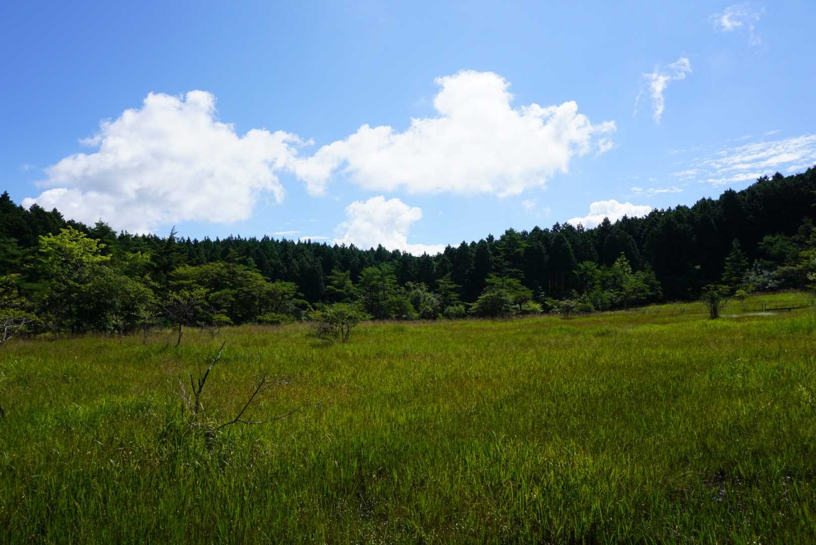 やっぱり晴れていると気持ちいいですね🍀😌🍀