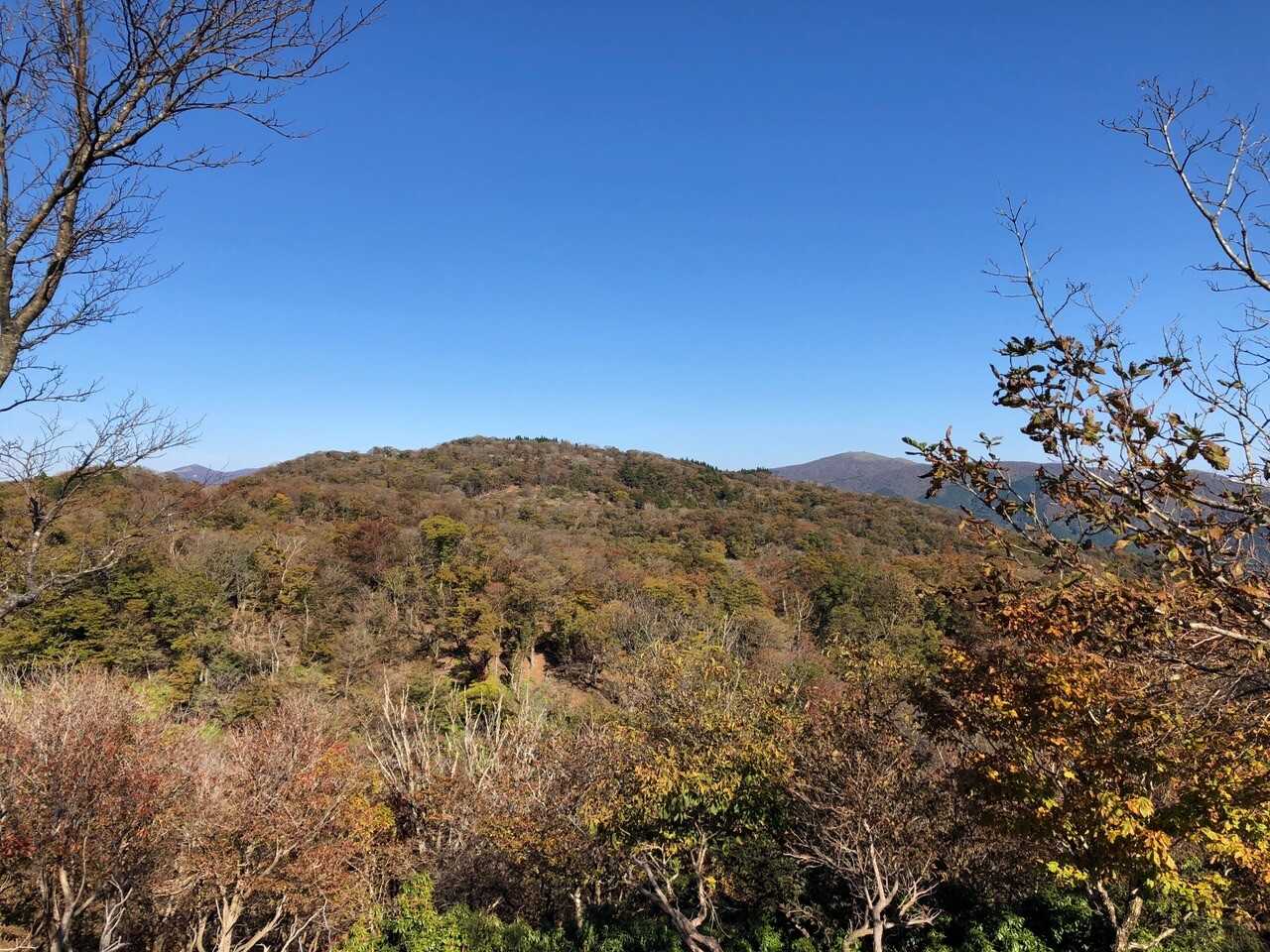 皆子山の写真