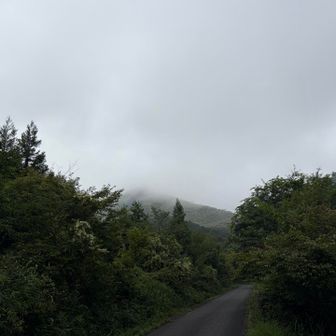 ガスってるね
よきよき