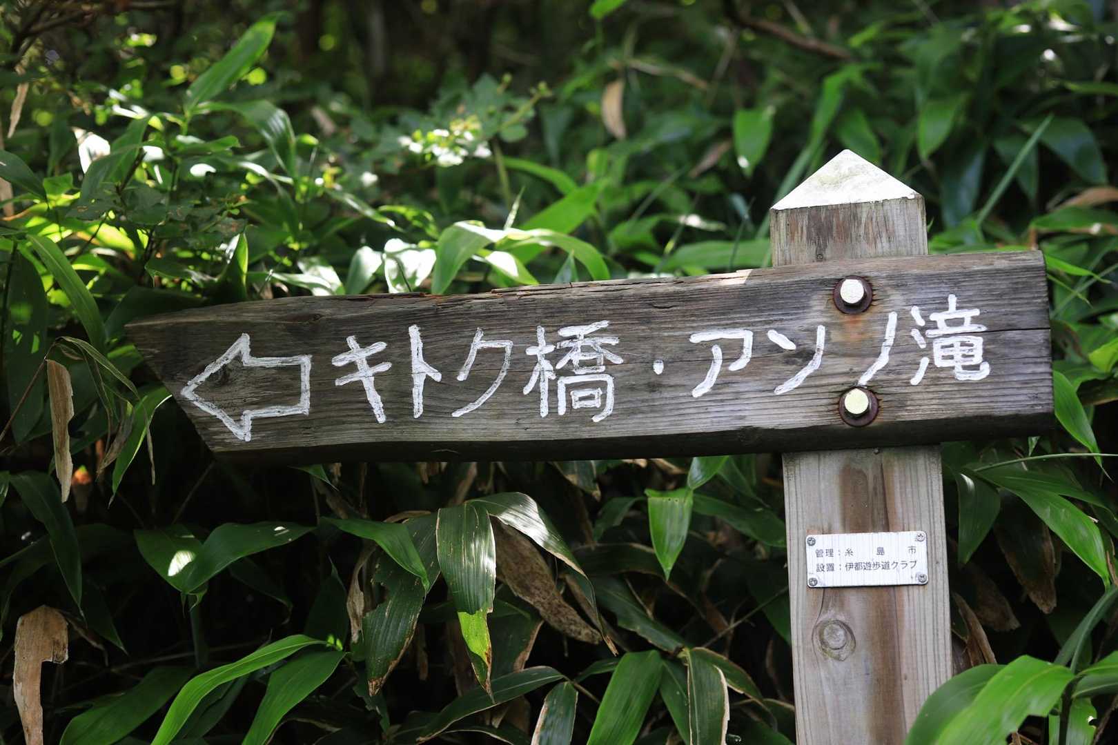水無登山口-井原山 往復コースの写真