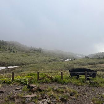 はい、協議した結果…
下りまーす🖐️
南竜山荘で装備整え、下山！