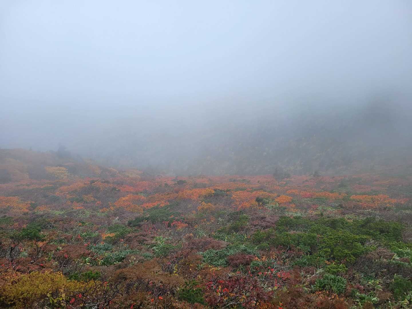 刈田峠-前山-杉ヶ峰-芝草平 往復コースの写真