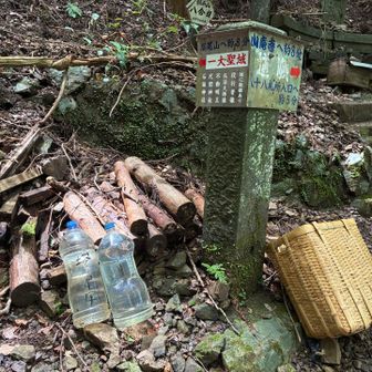 山庵寺から水💦を運んで良かった。
ここにペットボトル🧴があったら、
すいませんが、塔の尾まで運んで下さい。🙇🏻