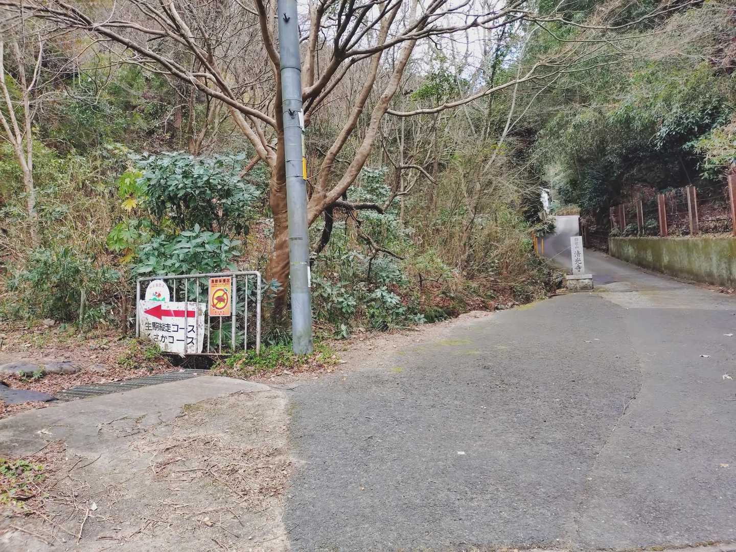 阪急石切駅から10分　
くさかコース スタートです😊