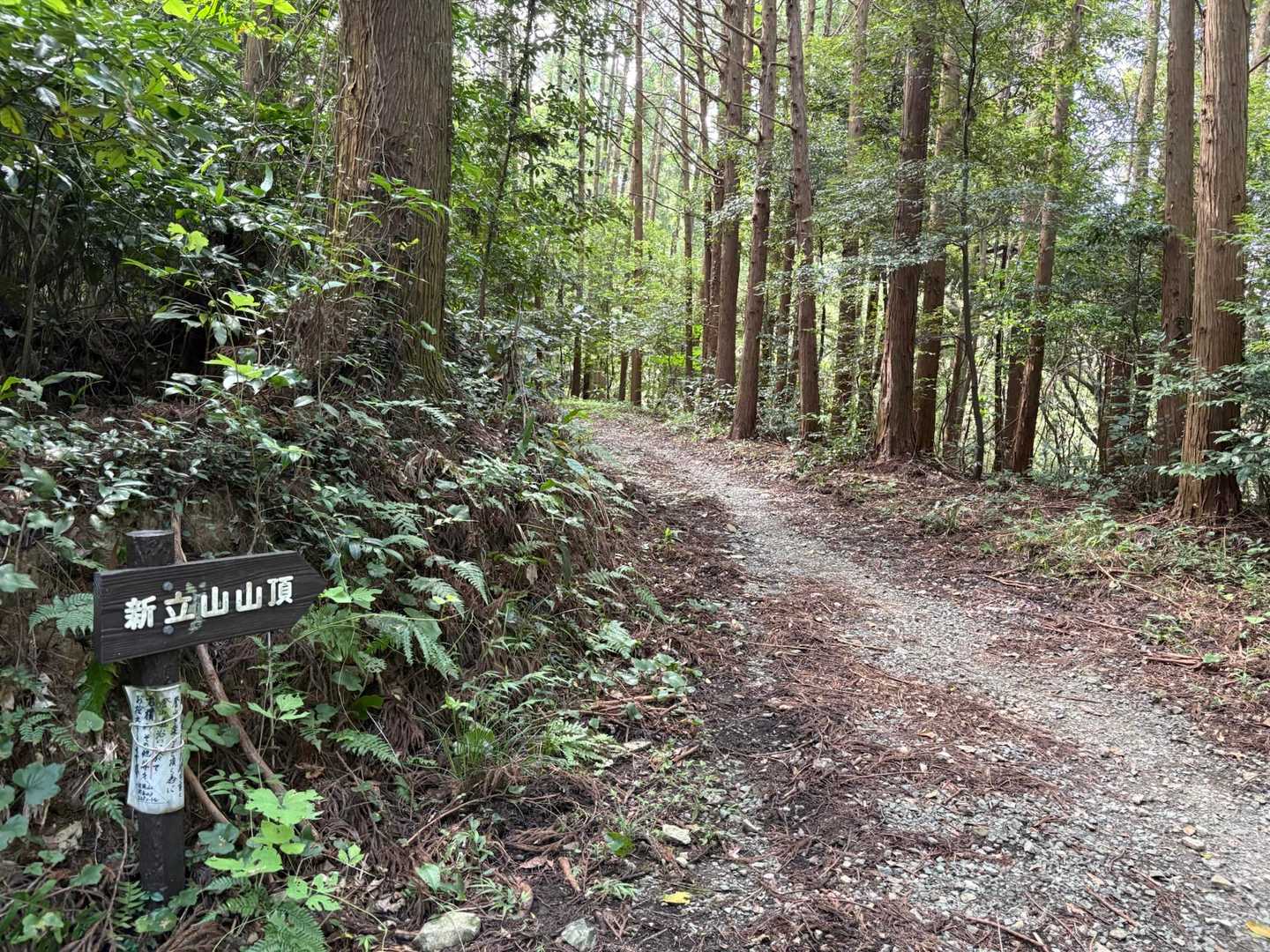 走りやすい。(登りはほぼ走ってない)