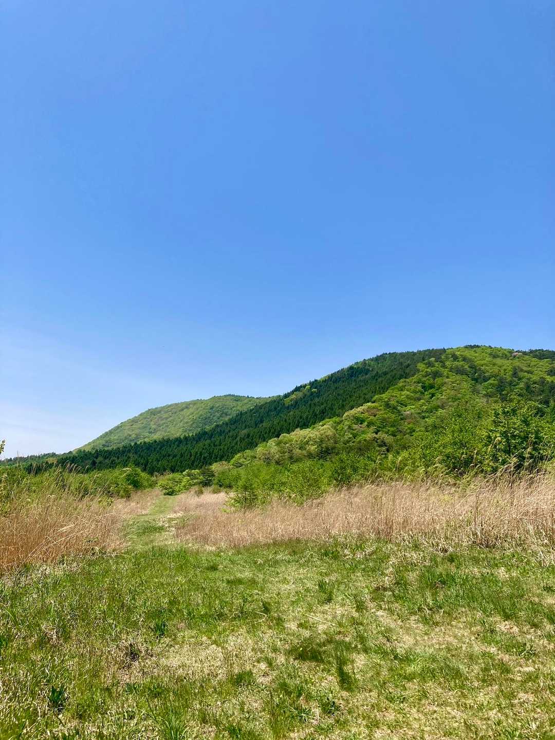 黒鼻山登山口-黒鼻山 往復コースの写真