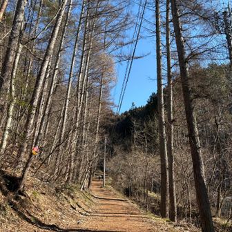 このあたりは全然雪はありません