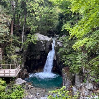 龍神の滝
これを目当てに観光客も
紅葉の時期はさらにステキだろうなぁ😊