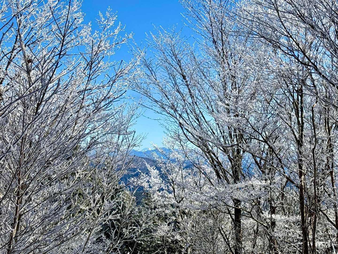 富士山 が 中央 に