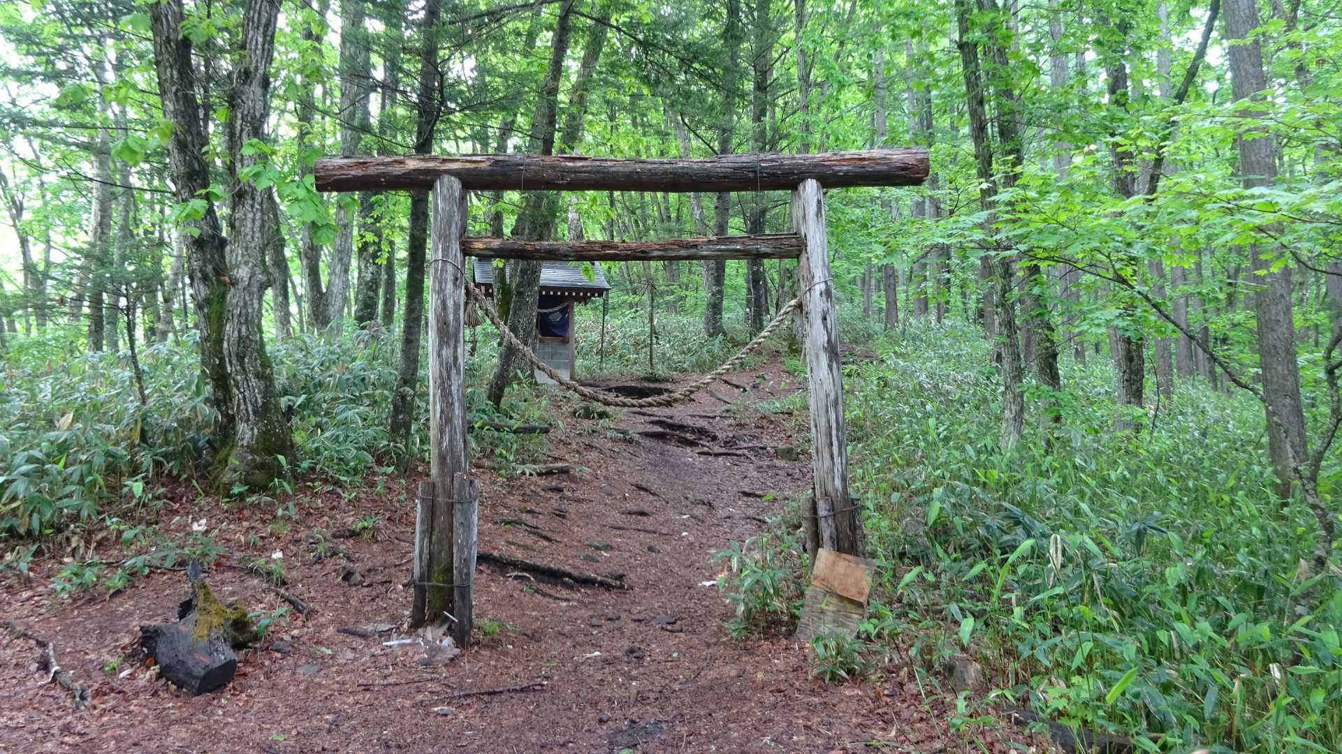 山頂にある飯縄神社への入り口の鳥居を通過。