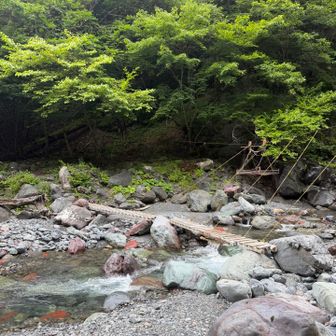 仮橋
昨日は真っ暗だったので