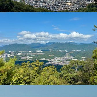 八畳岩から✨
　ここの近くには、眺望ポイントが数か所あって、どこから見ても良い眺めです👍