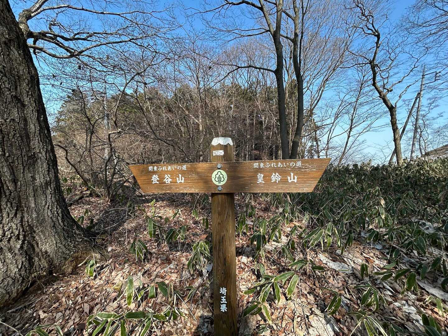 まだ時間大丈夫とお許しをいただき登谷山へ