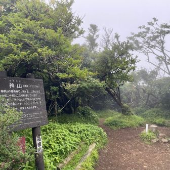 神山の頂上
噂通り何もない