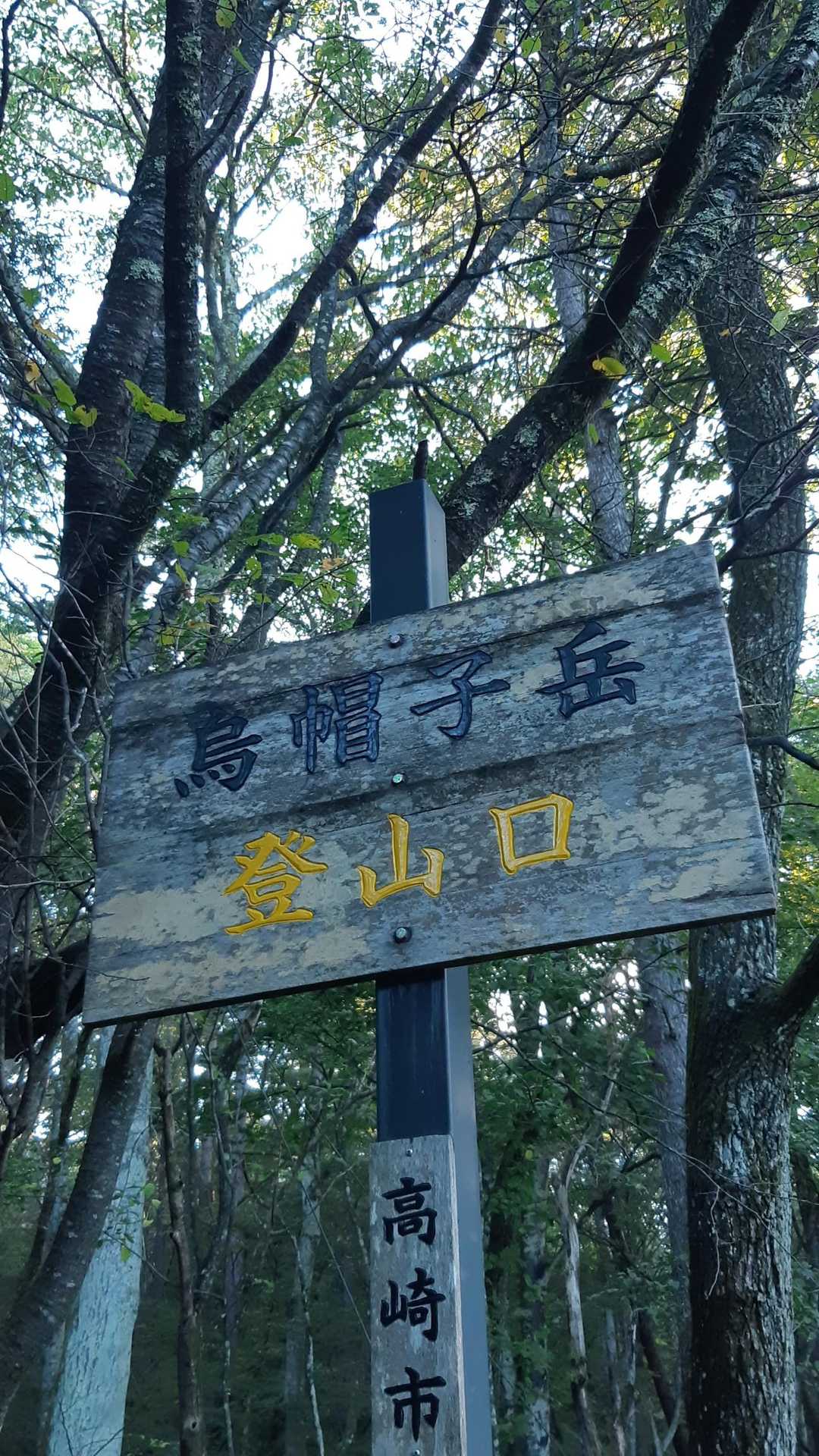 ひさしぶり…