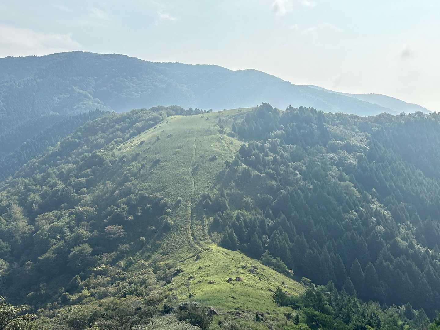 ススキの時期🌾も綺麗ですよ📷