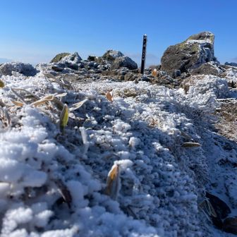 雪ありっぽく撮ってみた❄️