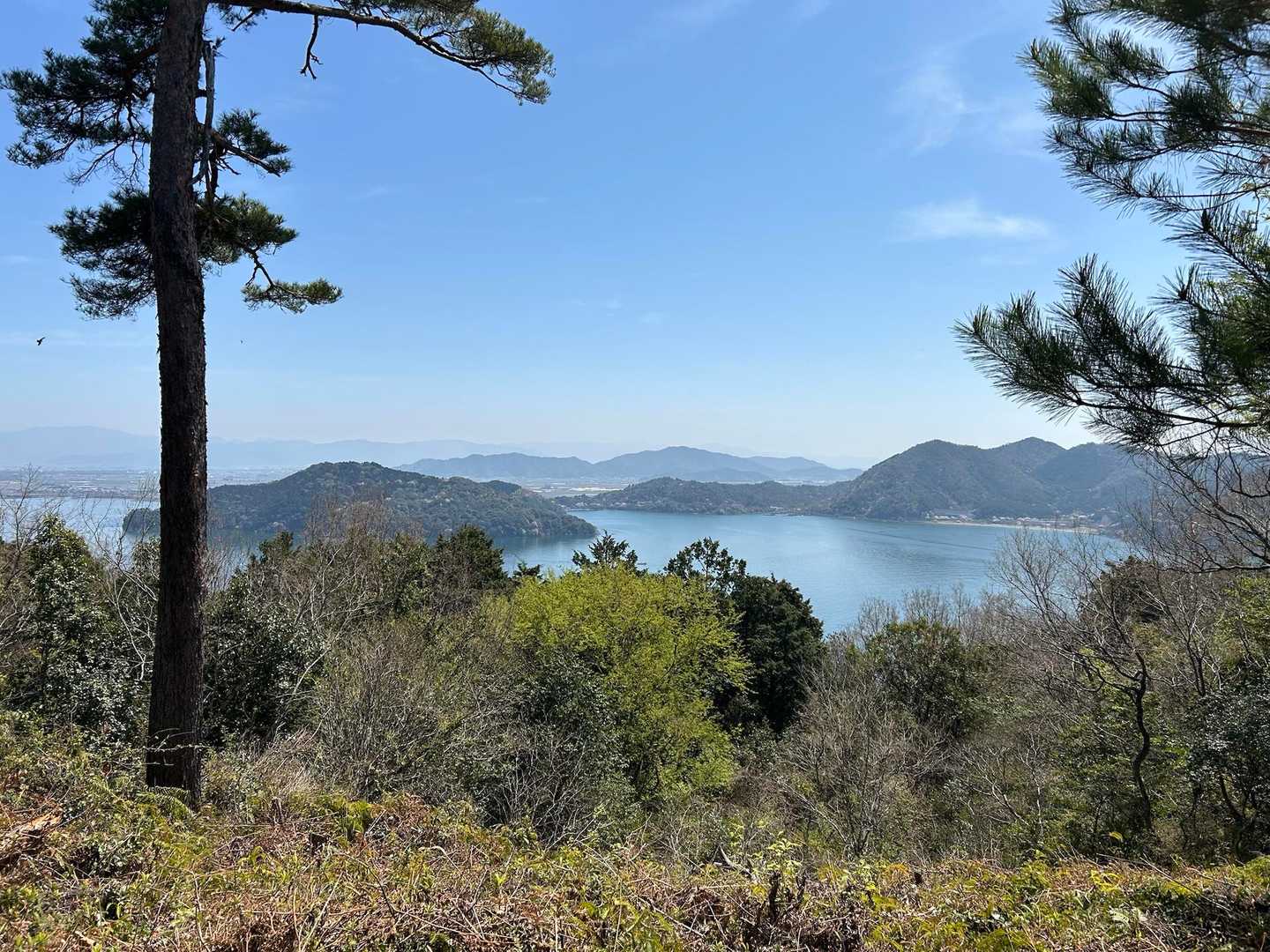 展望台から