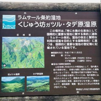 くじゅう坊ガツル・タデ原湿原解説看板