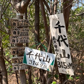 まずは五月山へ。
五月山の本当の名前は「千代山」だそう。