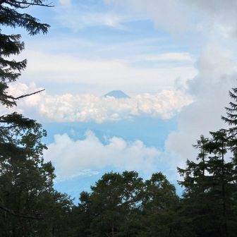 眺望は期待してなかったのですが、富士山は頂上がギリ見えました😅