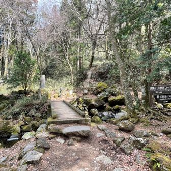 鷹巣山、浅間山、城山、湯坂山を経由して、
ピークハントしつつ、箱根湯本まで向かいます。