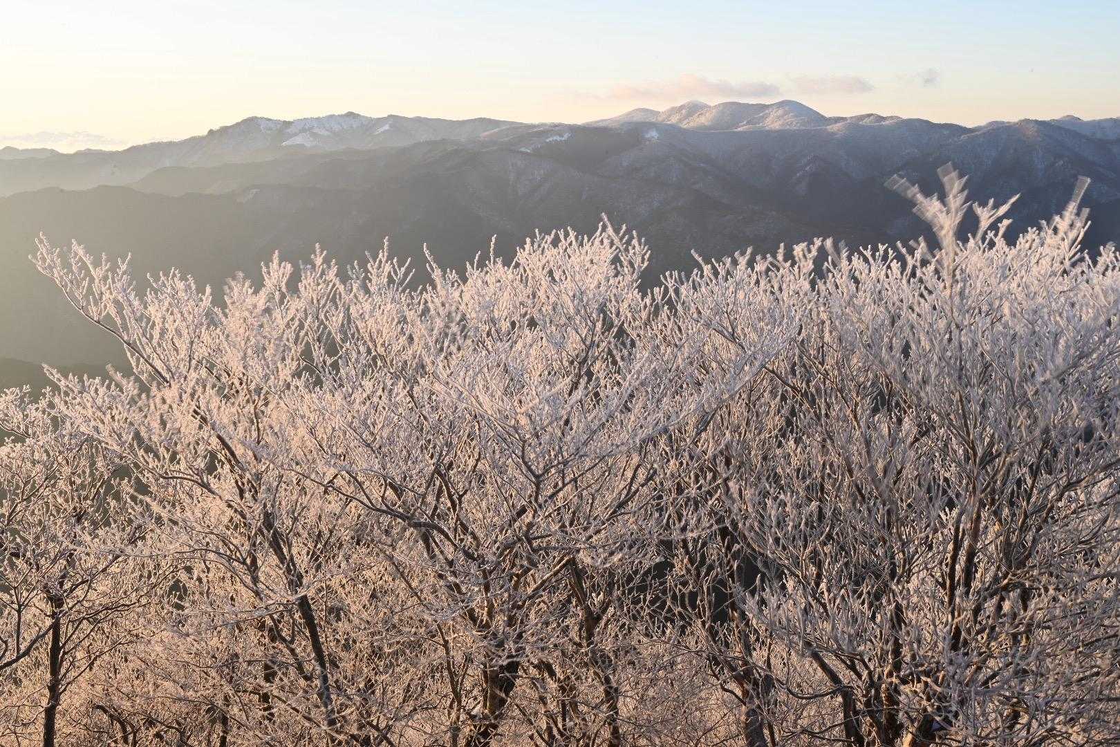 高見峠-高見山 往復コースの写真