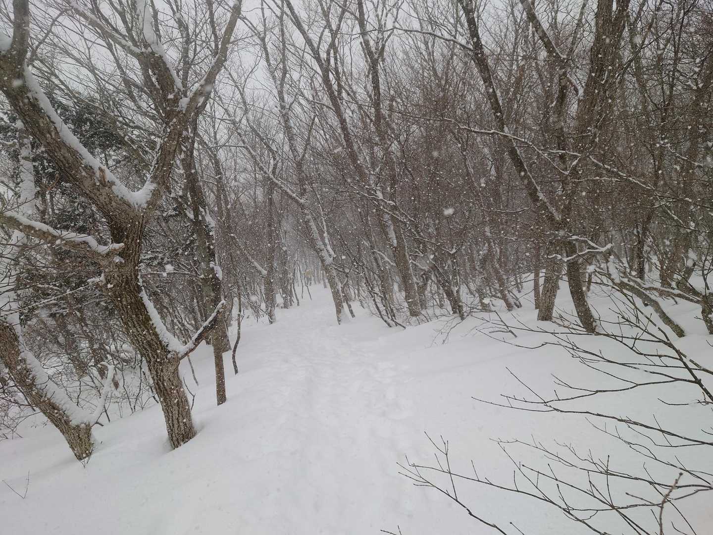 涼やかな沢音と水神の碑を抜けて、仙台平野を見渡す泉ヶ岳の定番の写真