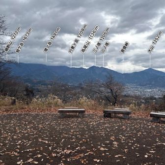 晴れてたら丹沢が一望出来て素晴らしい景色のはず✨　今日は塔ノ岳より上雲がかかってた。