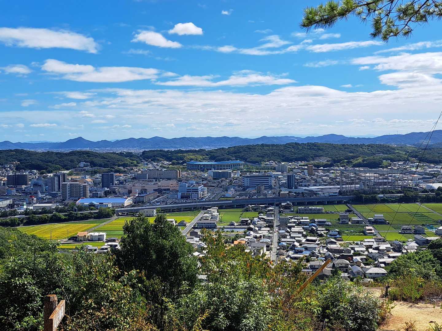 振り返ると絶景
マスカットスタジアム🏟️みえる
