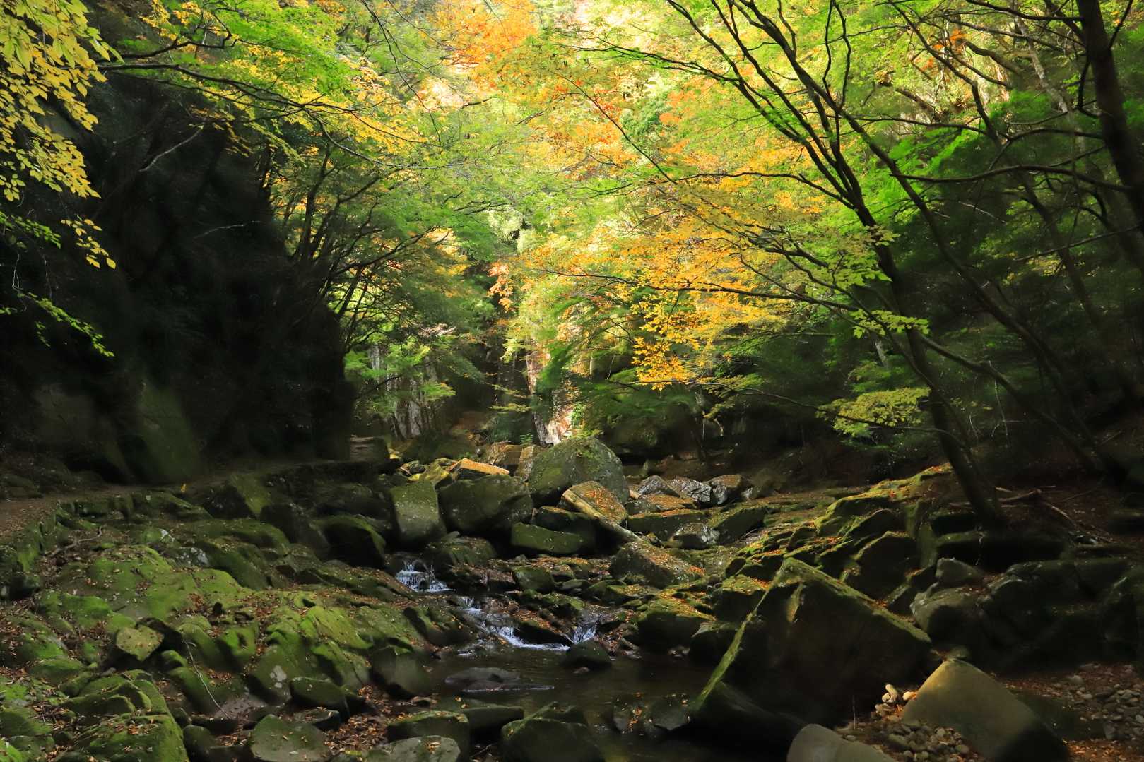 【赤目四十八滝】数々の滝・岩・淵が連続する変化に富んだ山歩道の写真