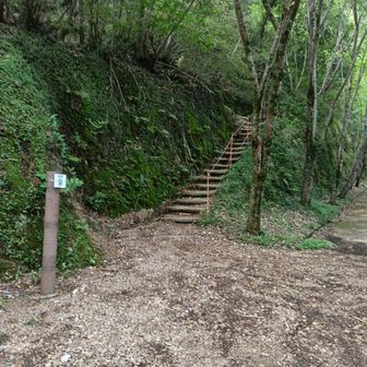 百々ケ峰への階段