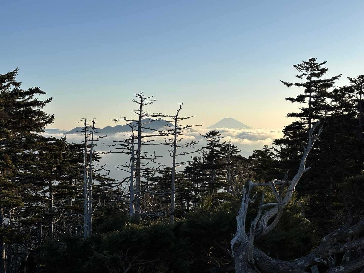 富士山と大無間山