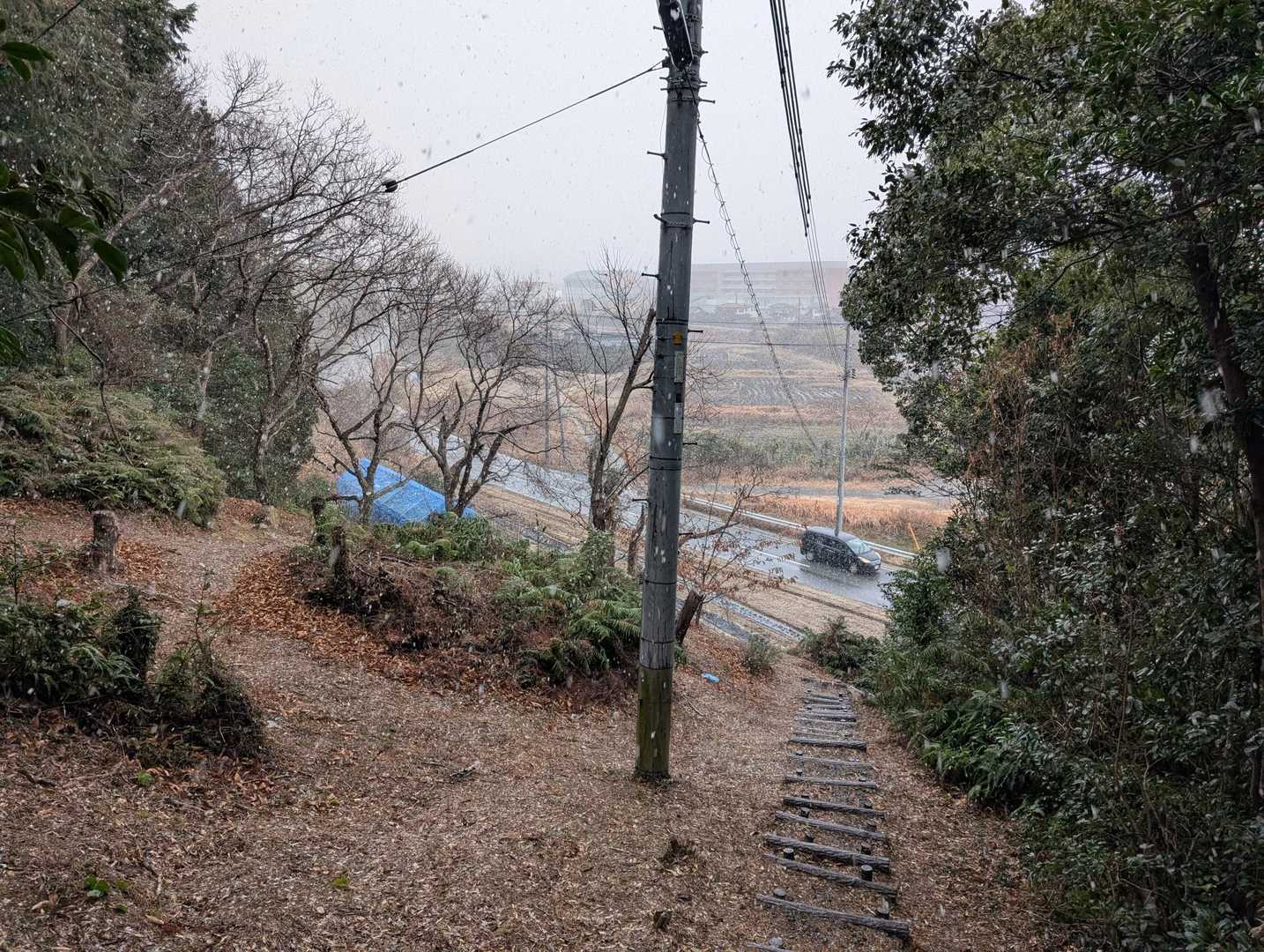 柴山古墳群入口-柴山 往復コースの写真