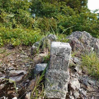 鷲走ヶ岳の山頂に到着！
『日本の山1000』に選定されている1座で、山頂には二等三角点があります。