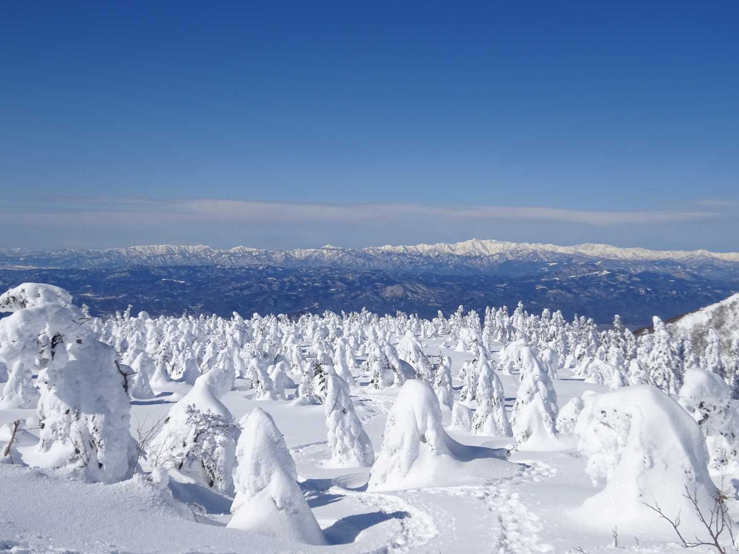 遠くに朝日連峰